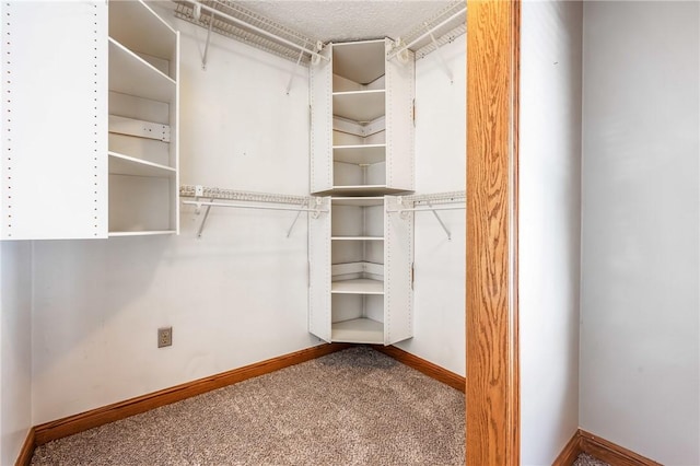 spacious closet featuring carpet floors