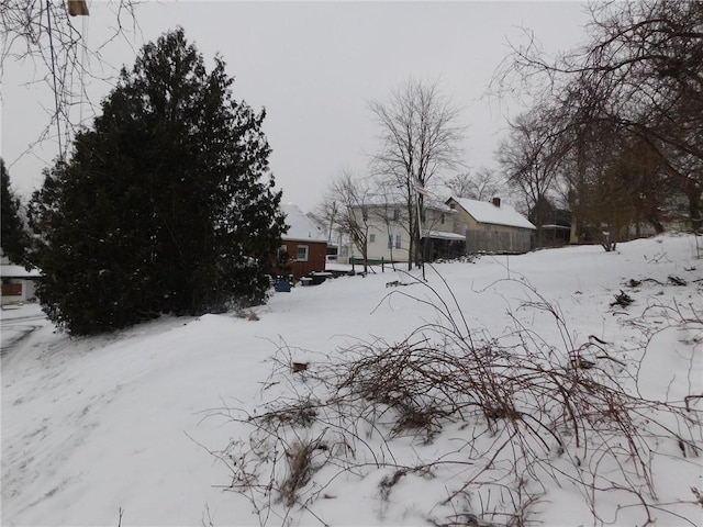 view of yard covered in snow