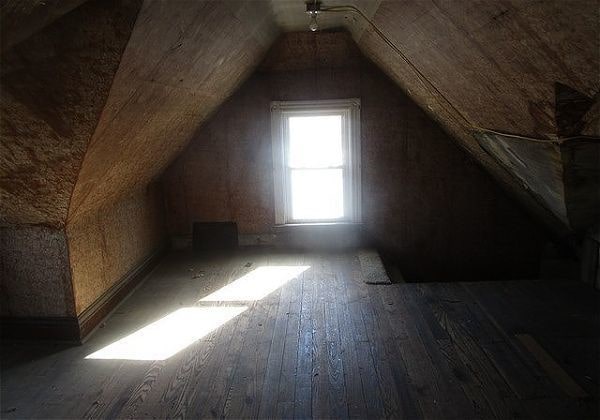 bonus room with lofted ceiling and hardwood / wood-style flooring