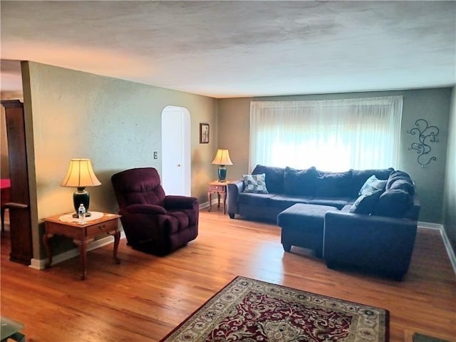 living room with hardwood / wood-style floors