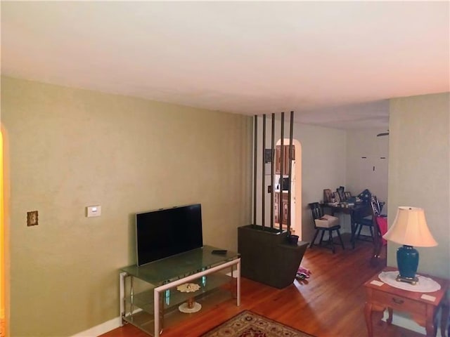 living room featuring hardwood / wood-style floors