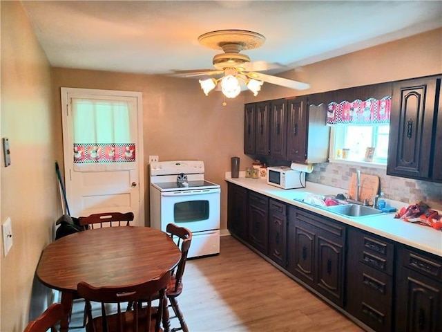 kitchen featuring white appliances, tasteful backsplash, light hardwood / wood-style floors, sink, and ceiling fan