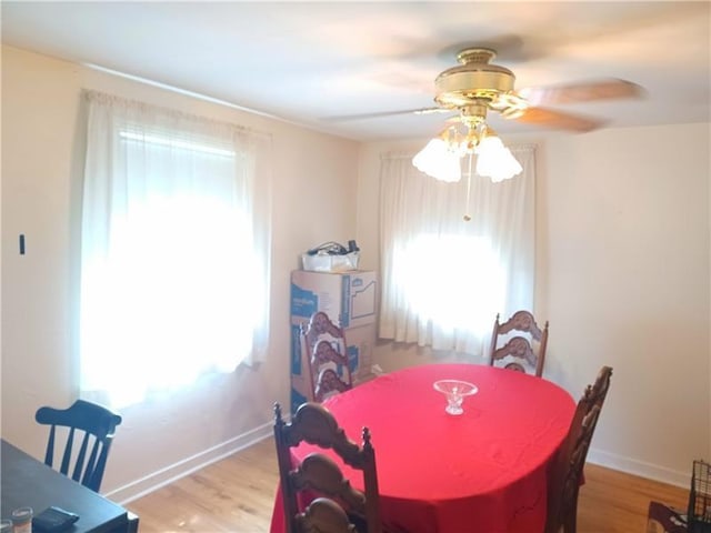 dining area with ceiling fan, light hardwood / wood-style floors, and plenty of natural light