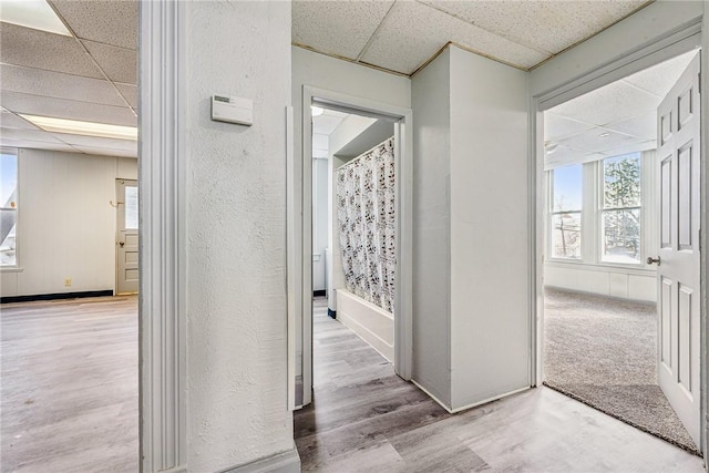 hallway featuring light hardwood / wood-style flooring and a drop ceiling