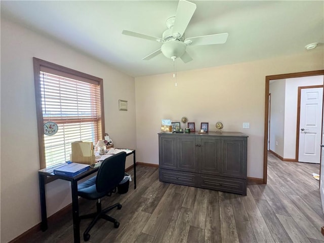 office with ceiling fan and dark hardwood / wood-style floors