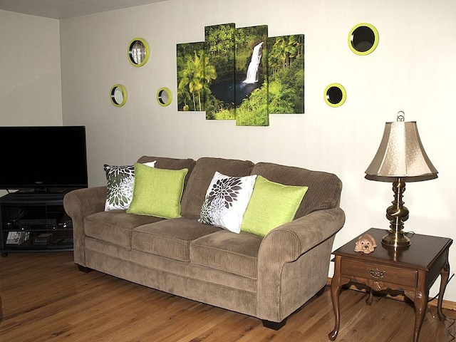 living room with wood-type flooring