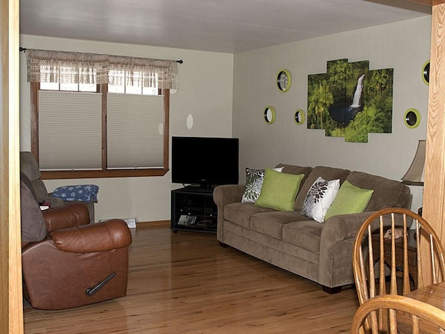 living room featuring hardwood / wood-style flooring