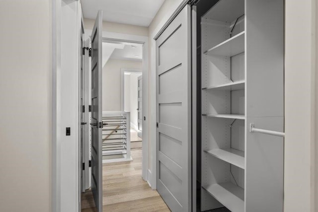 spacious closet with light wood-type flooring