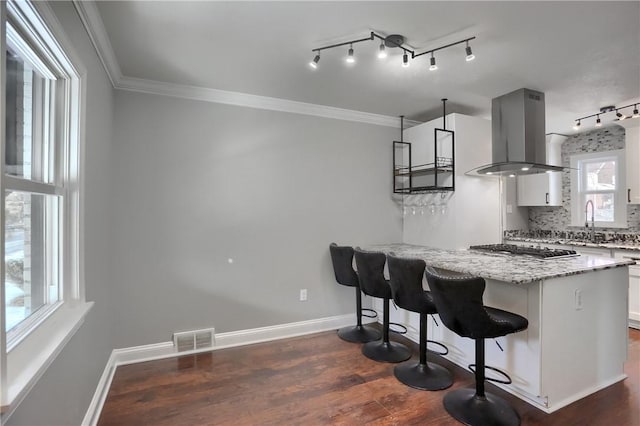 kitchen with white cabinetry, island range hood, dark hardwood / wood-style flooring, light stone counters, and a breakfast bar