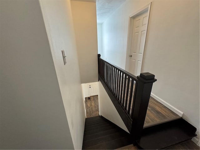 stairway with hardwood / wood-style floors