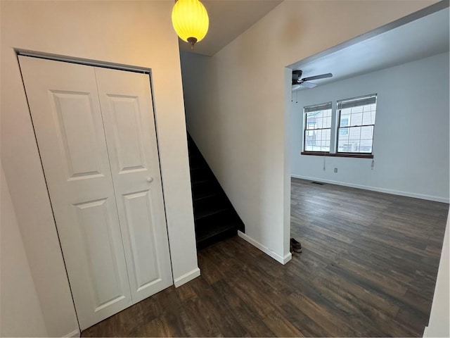 hall featuring dark hardwood / wood-style flooring