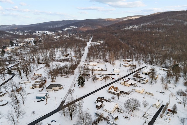 snowy aerial view with a mountain view