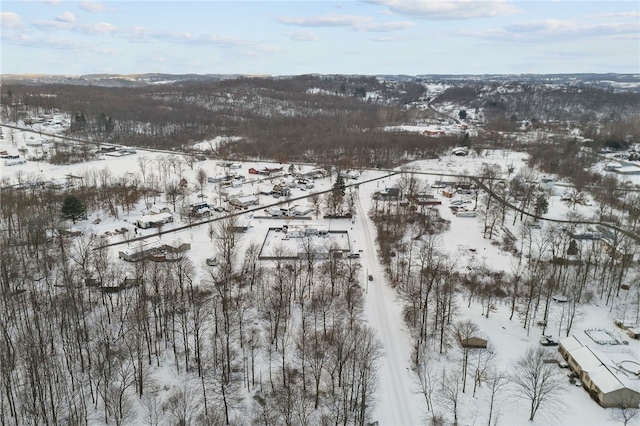 view of snowy aerial view