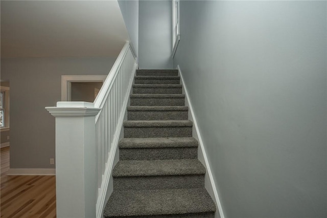 stairs with hardwood / wood-style flooring