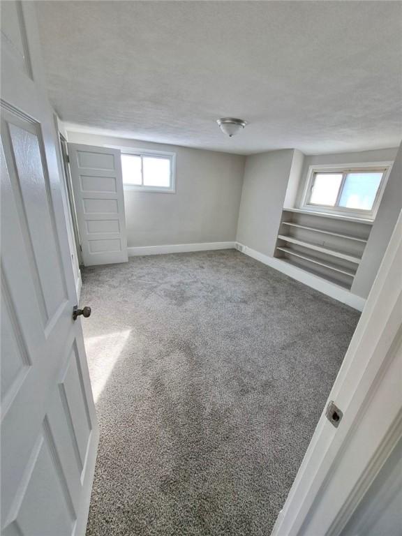 basement with a textured ceiling and carpet flooring