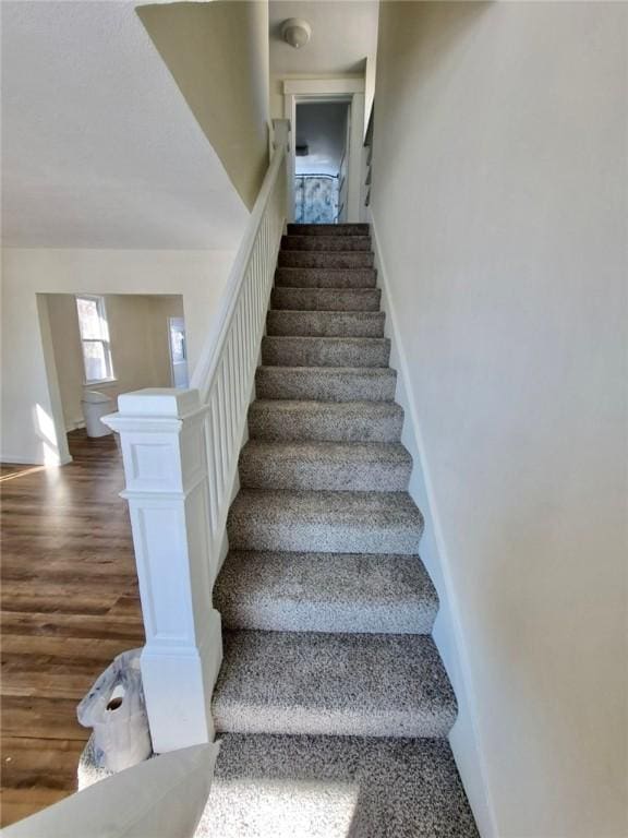 stairs with hardwood / wood-style floors