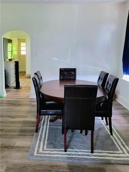 dining room featuring wood-type flooring and plenty of natural light