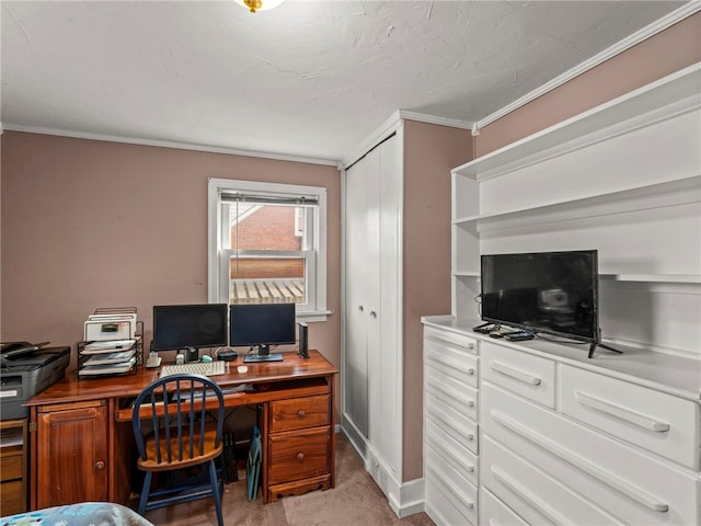 office space with light colored carpet and crown molding