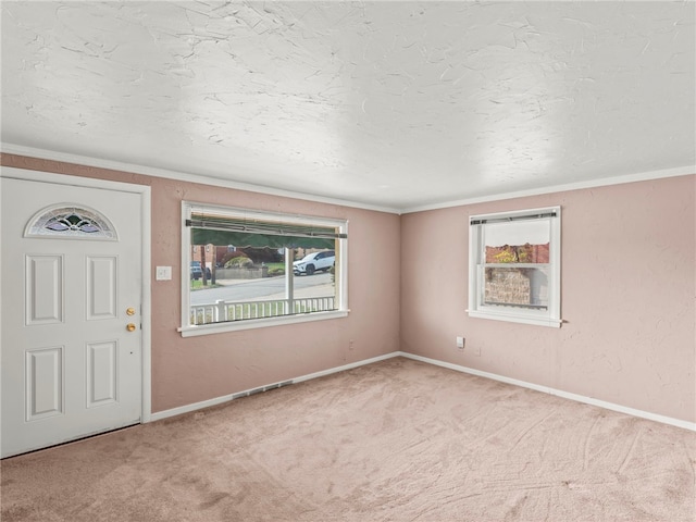 carpeted entrance foyer with ornamental molding and plenty of natural light