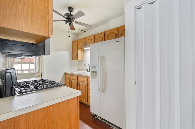 kitchen with ceiling fan, white refrigerator with ice dispenser, dark hardwood / wood-style floors, and sink