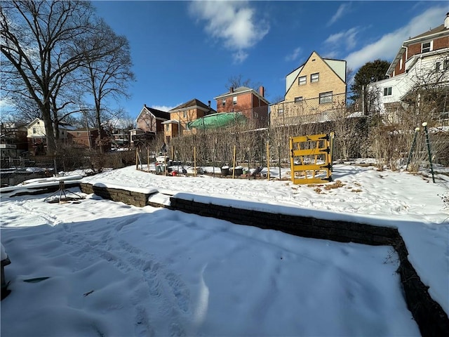 view of snowy yard