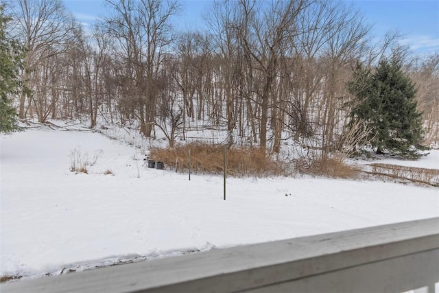 view of yard covered in snow