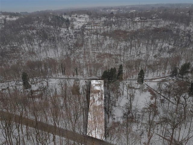 view of snowy aerial view