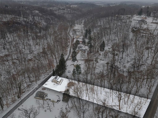 view of snowy aerial view