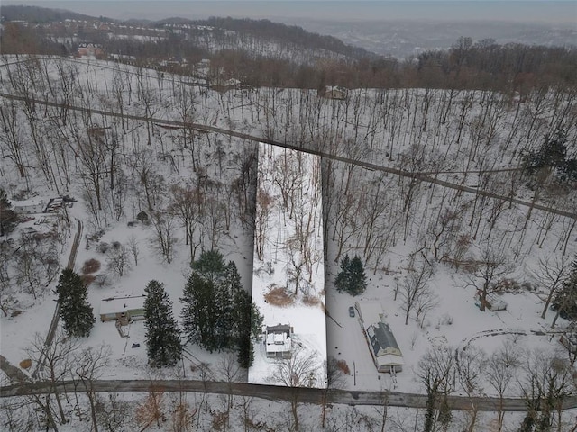 view of snowy aerial view