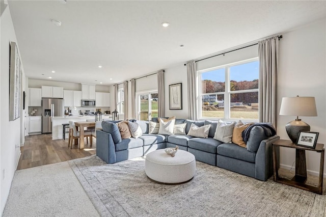 living room featuring light hardwood / wood-style floors