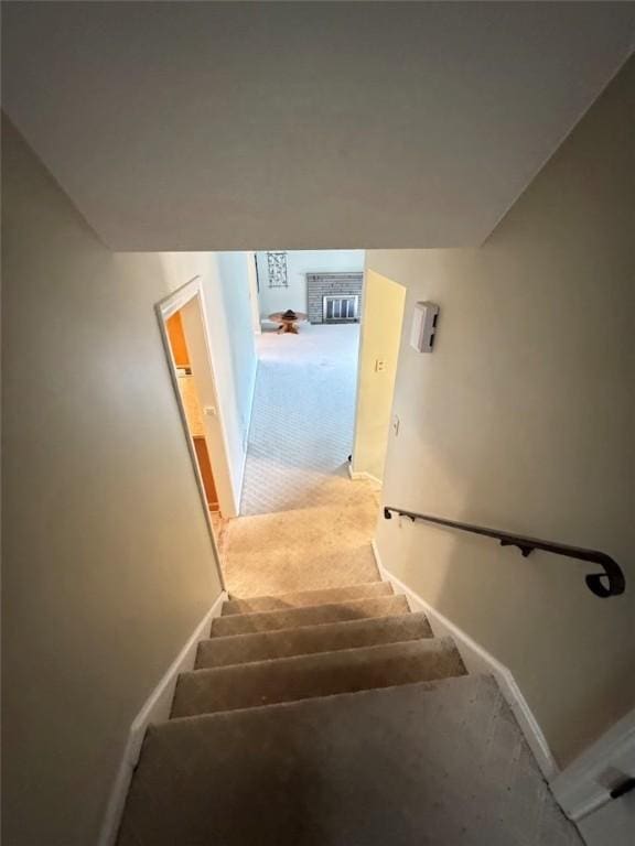 staircase featuring carpet