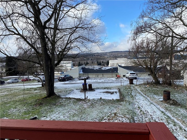 view of snowy yard