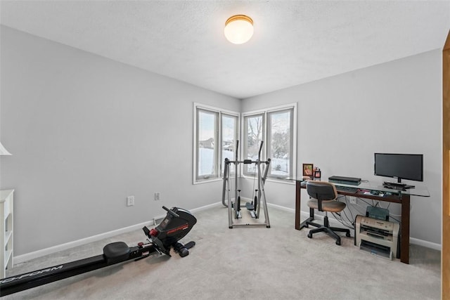 home office with light colored carpet