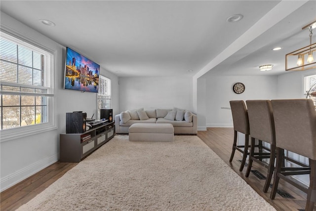 living room featuring wood-type flooring