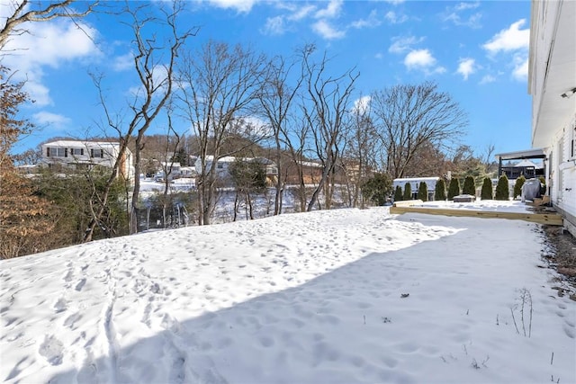 view of snowy yard