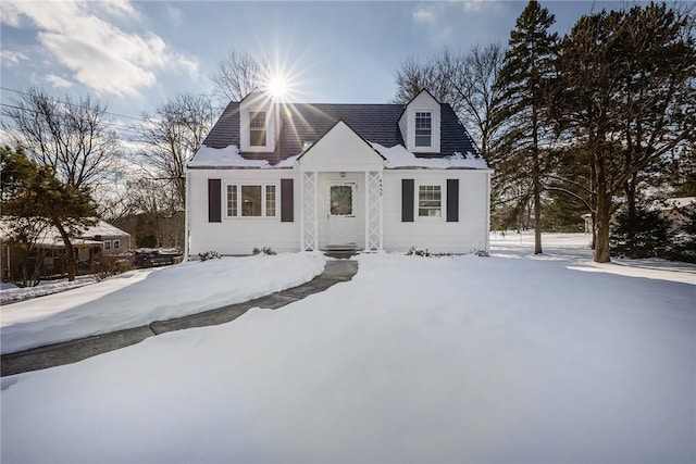 view of cape cod house