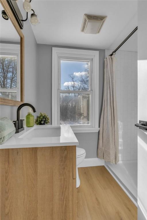 bathroom with hardwood / wood-style flooring, plenty of natural light, vanity, and a shower with shower curtain