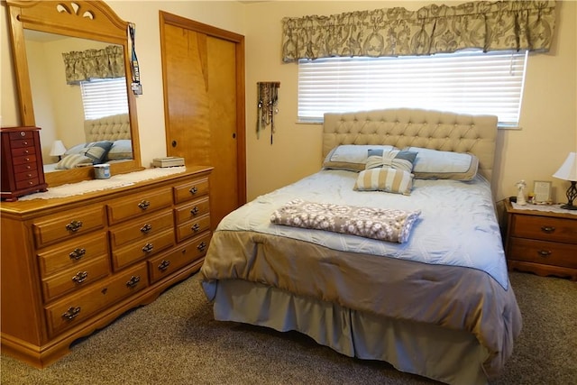 bedroom featuring carpet floors and a closet