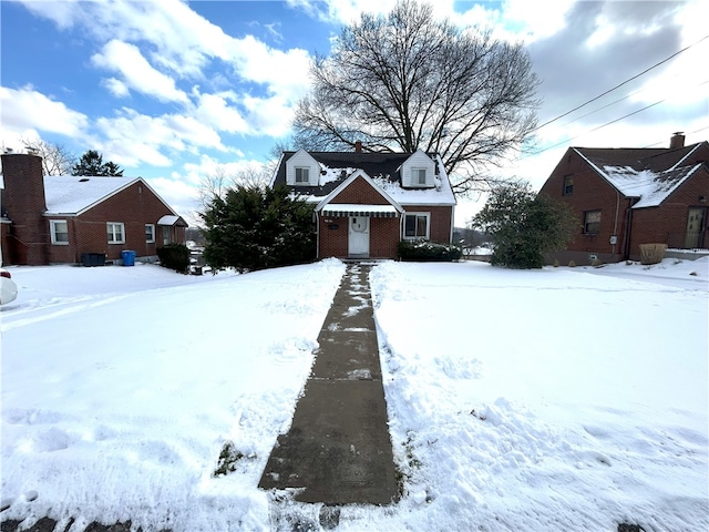 view of yard covered in snow