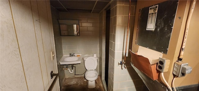 bathroom with toilet and sink