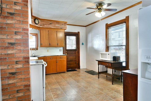 kitchen featuring ceiling fan, sink, white appliances, and crown molding