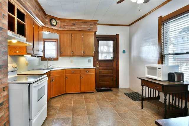 kitchen with ceiling fan, backsplash, white appliances, crown molding, and sink