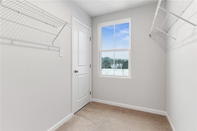 spacious closet featuring light colored carpet