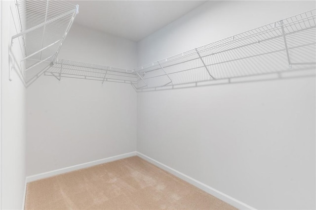 walk in closet with carpet