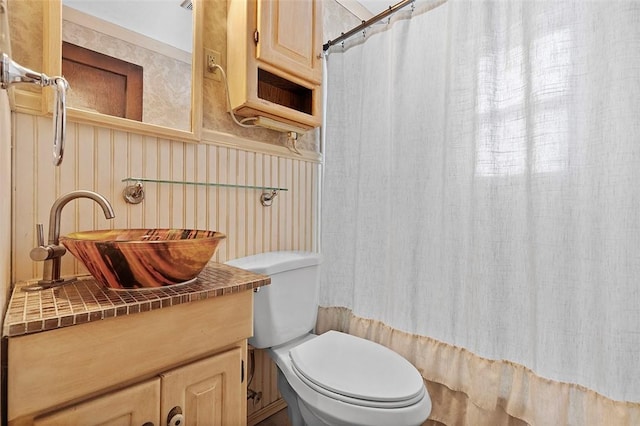 bathroom with toilet and vanity