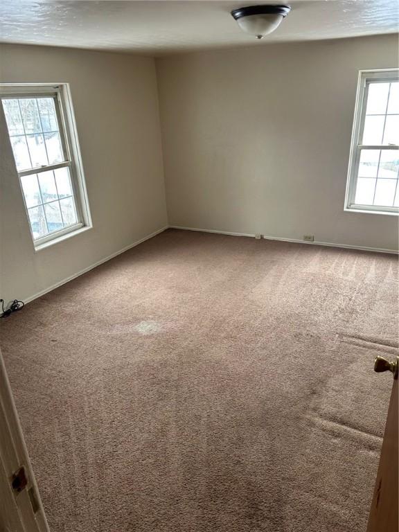 unfurnished room featuring carpet