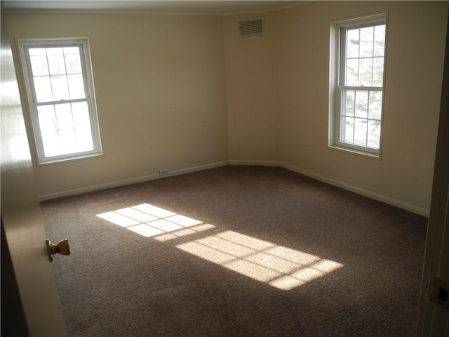 spare room featuring carpet and crown molding