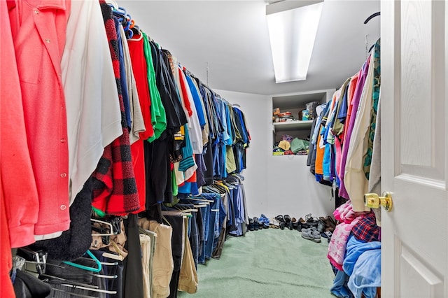 spacious closet featuring carpet