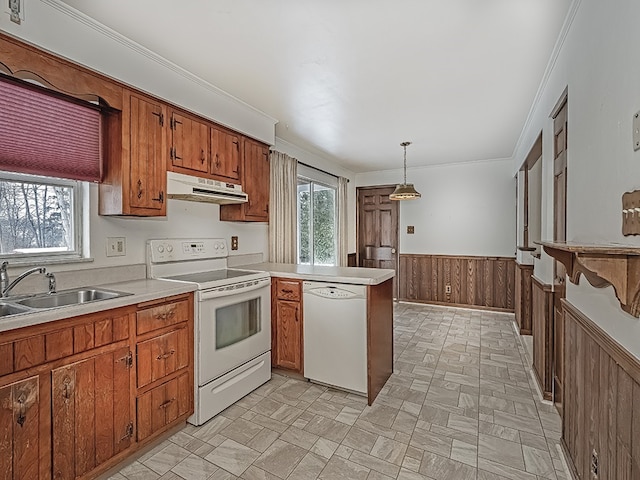 kitchen featuring sink, wood walls, decorative light fixtures, ornamental molding, and white appliances