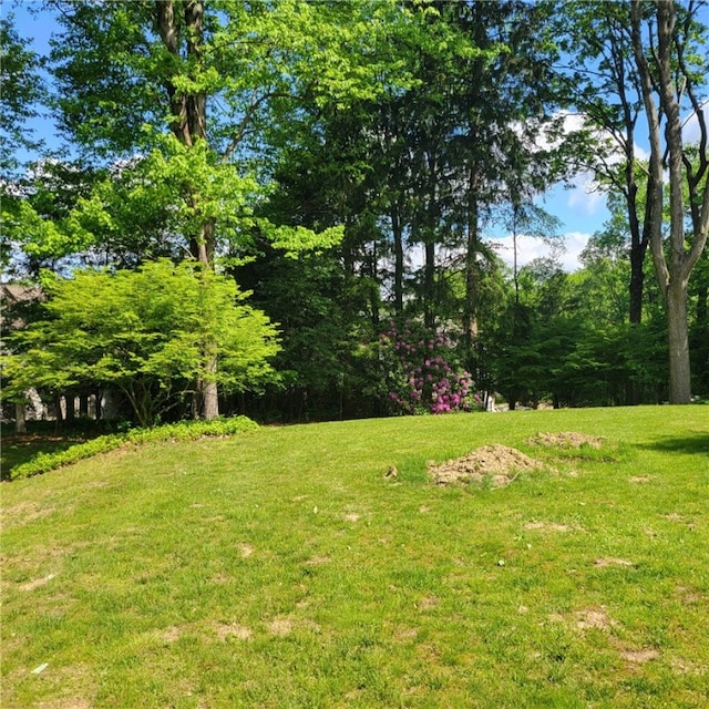 4024 Glen Eden Rd, Cranberry Twp, PA 16066 - view of green lawn
